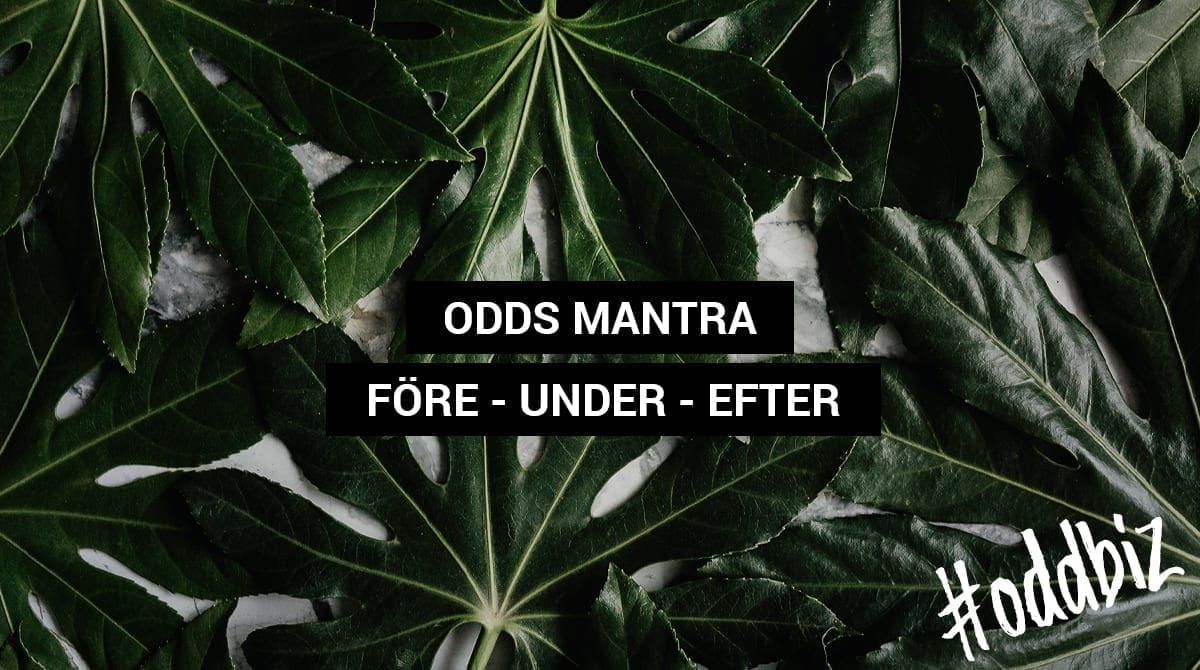 Före – Under – Efter