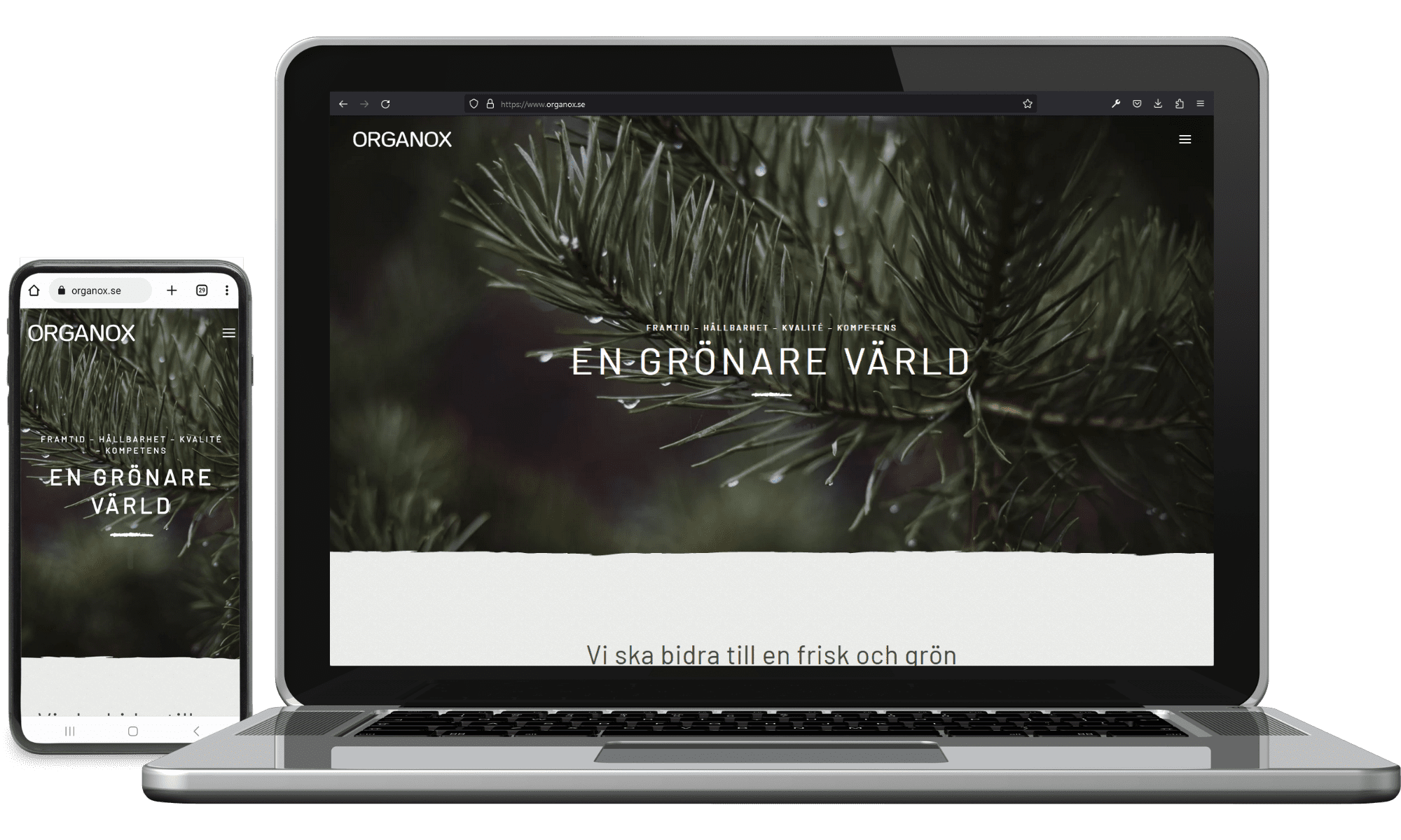 Webbplats till Organox