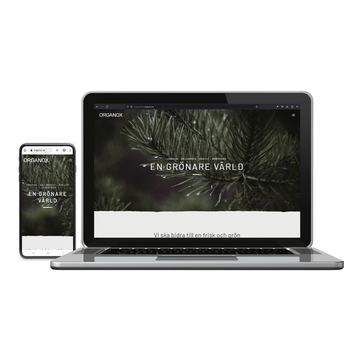 Organox webbplats