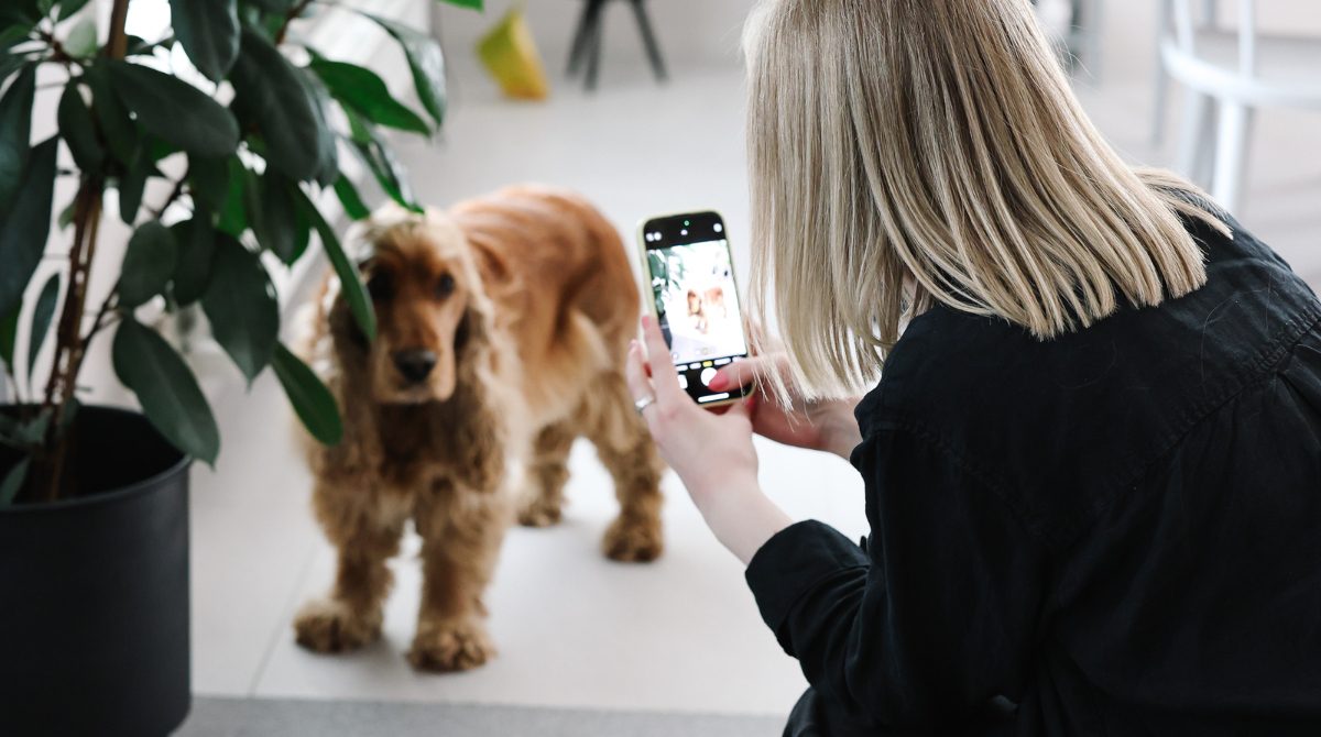 Rätt bildstorlek i sociala medier 2026