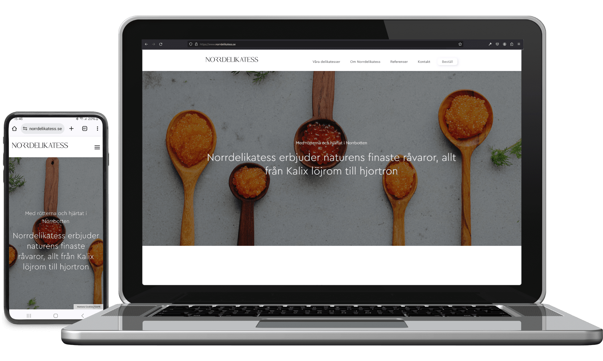 Webbplats till Norr delikatess