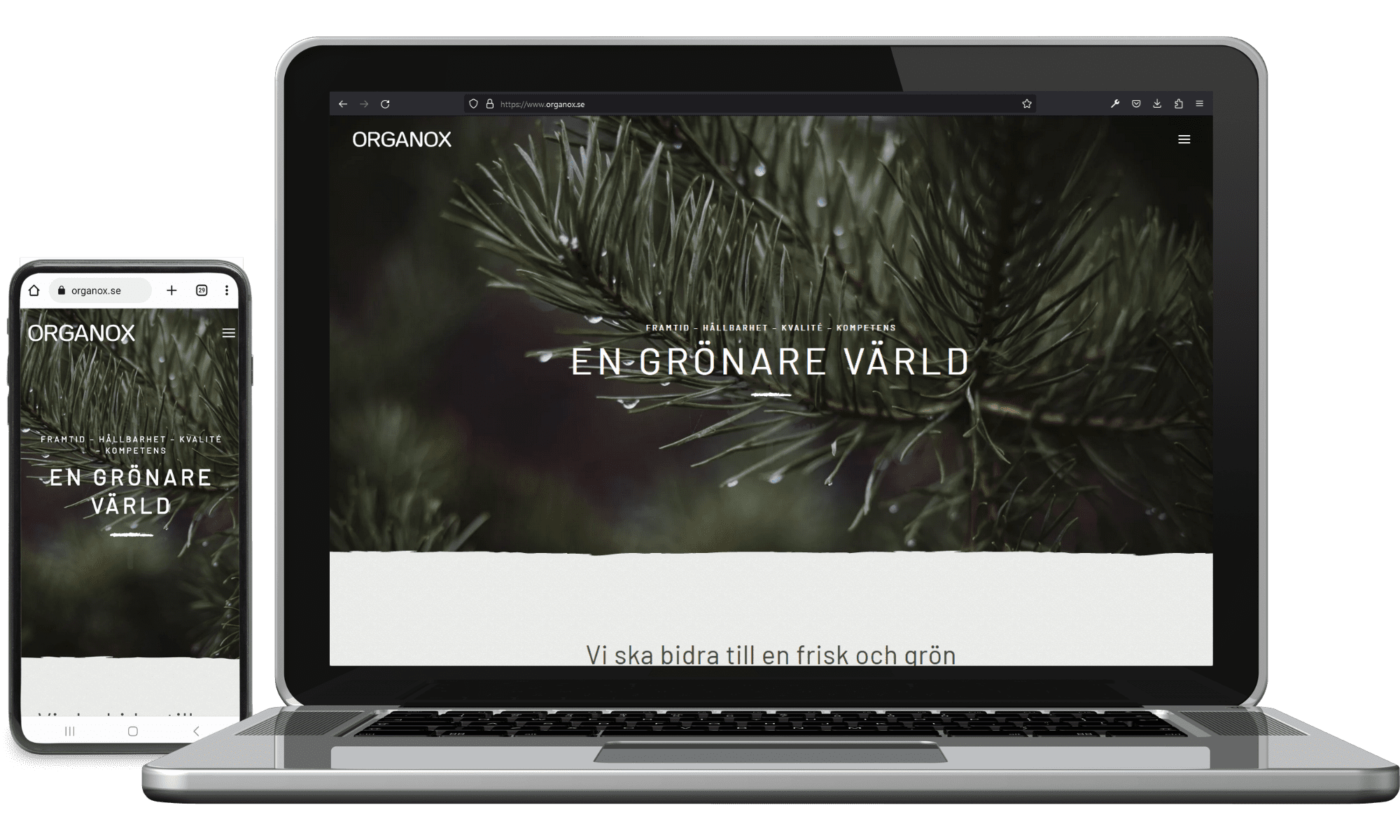 Webbplats till Organox