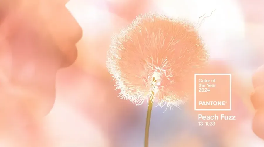 Årets färg från Pantone 2024 - Peach Fuzz